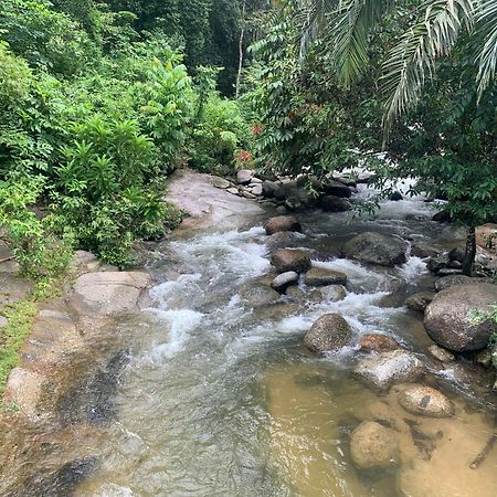 Chalet Latip D'Ayer Itam Hotel Kampong Ayer Hitam  Kültér fotó